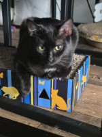 /album/29-10-2025/afbeelding-van-whatsapp-op-2025-10-26-om-12-28-53-9a123210-jpg/